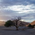 NAM HAR Dune45 2016NOV21 048 : 2016 - African Adventures, Hardap, Namibia, Southern, Africa, Dune 45, 2016, November